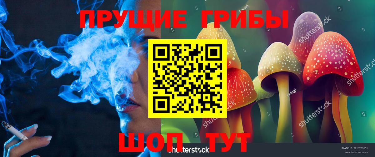 Псилоцибиновые грибы мухоморы Новоалтайск