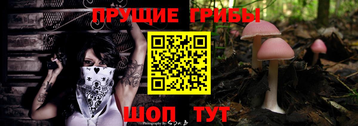 Псилоцибиновые грибы прущие грибы  Вход с VPN  Новоалтайск 
